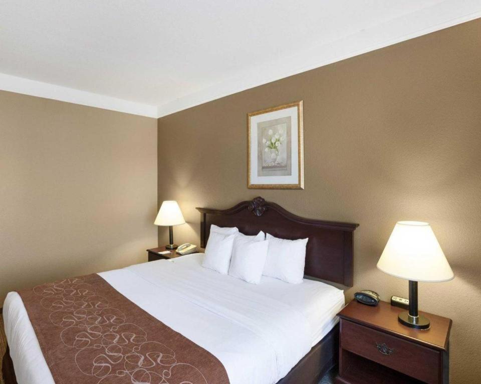 Plainview Comfort Suites מראה חיצוני תמונה