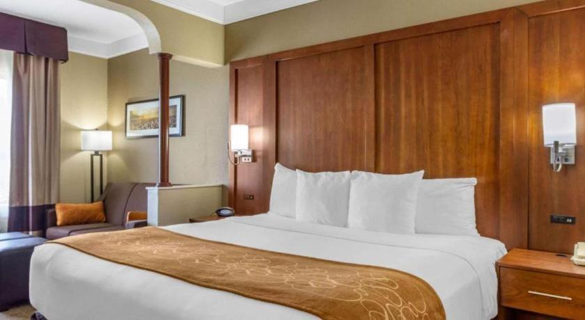 Plainview Comfort Suites מראה חיצוני תמונה